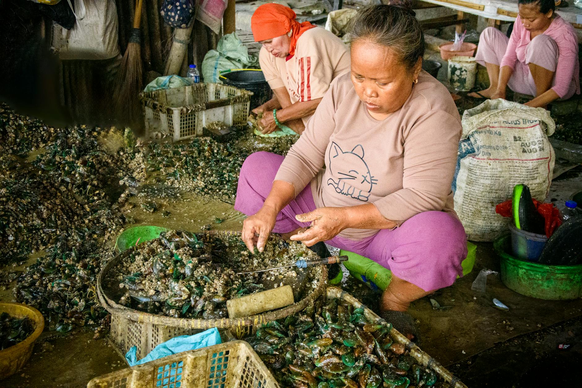 Is Madagascar Cheap vs Other African Islands? Honest Price Analysis — Madagascar