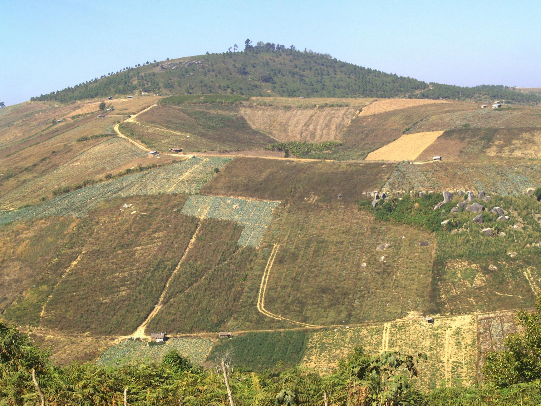 Madagascar 2027 Preview: What Travelers Can Expect Next Year — Madagascar