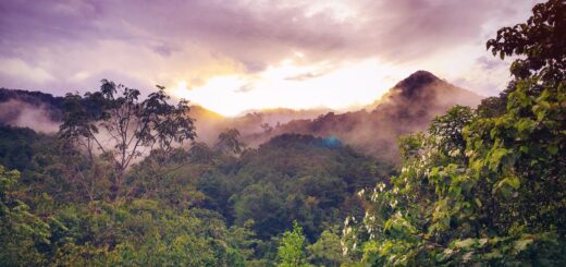 Madagascar Adventure Tour Packages 2026: Trekking Trips, Expeditions & Tailor-Made — Madagascar