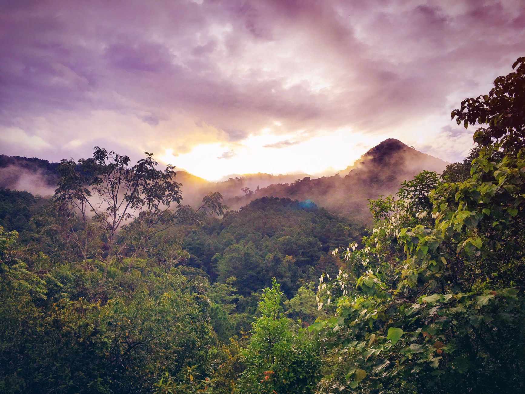 Madagascar Adventure Tour Packages 2026: Trekking Trips, Expeditions & Tailor-Made — Madagascar