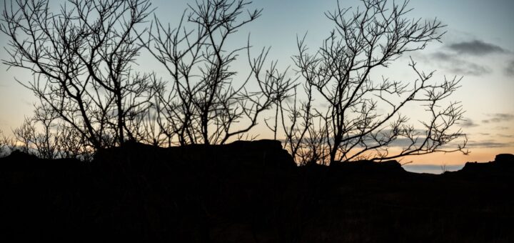 Madagascar Baobab Trip Cost 2026: What It Really Costs to See the Avenue & Beyond — Madagascar
