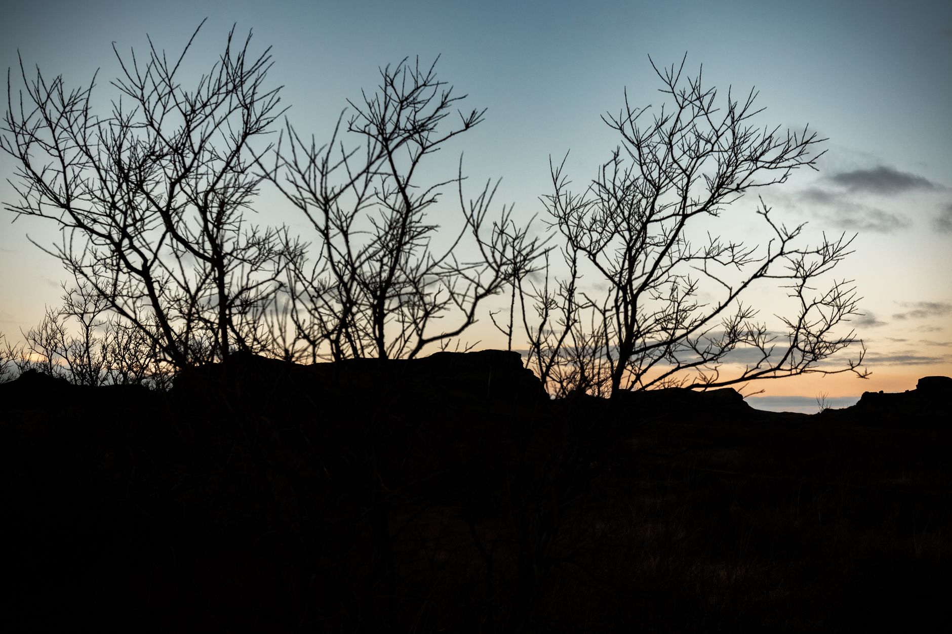 Madagascar Baobab Trip Cost 2026: What It Really Costs to See the Avenue & Beyond — Madagascar
