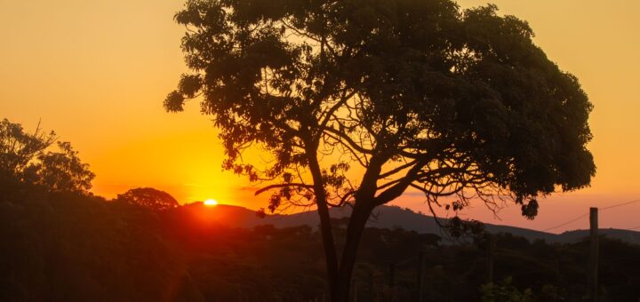 Madagascar Baobab Tour Packages 2026: From a Western Circuit to a Grand Multi-Region Expedition — Madagascar