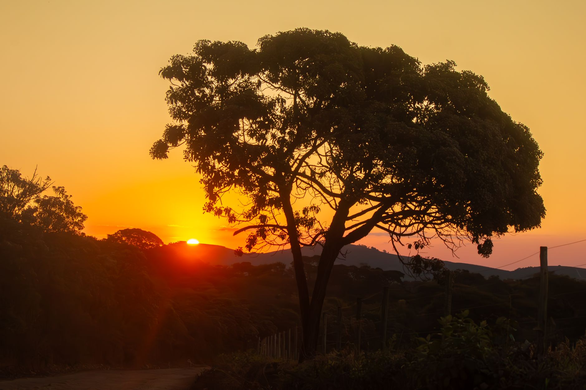 Madagascar Baobab Tour Packages 2026: From a Western Circuit to a Grand Multi-Region Expedition — Madagascar