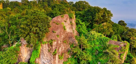 Madagascar Birding Trip Cost 2026: Real Budget Breakdown by Configuration — Madagascar