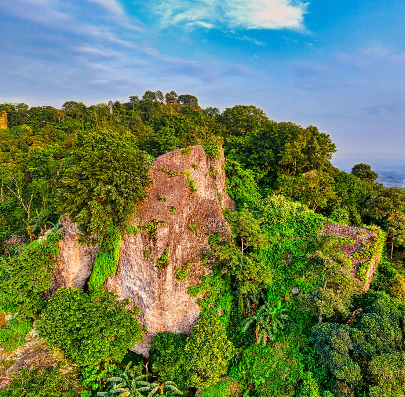 Madagascar Birding Trip Cost 2026: Real Budget Breakdown by Configuration — Madagascar