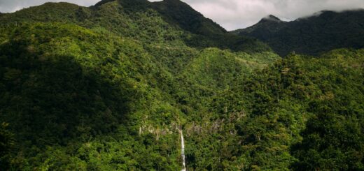 Madagascar Budget Tour Packages 2026: The Cheapest Way to See the Parks — Madagascar