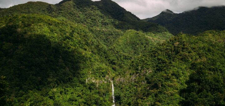 Madagascar Budget Tour Packages 2026: The Cheapest Way to See the Parks — Madagascar