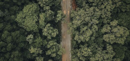 Flying vs Driving in Madagascar 2026: Which Is the Better Way to Get Around? — Madagascar