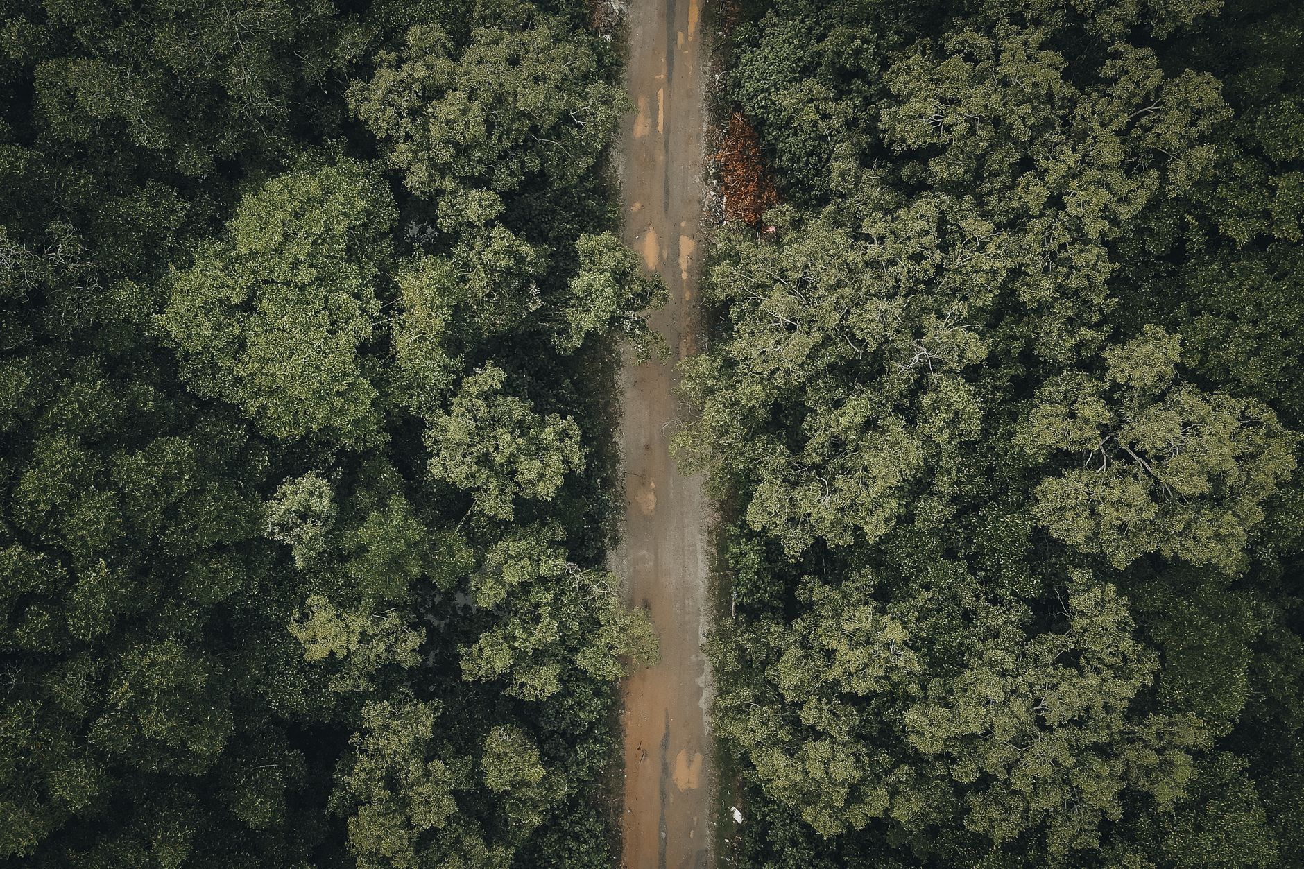 Flying vs Driving in Madagascar 2026: Which Is the Better Way to Get Around? — Madagascar