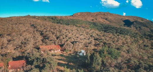Madagascar Fossa Tour Packages 2026: Kirindy, Baobabs & Wildlife Trips — Madagascar