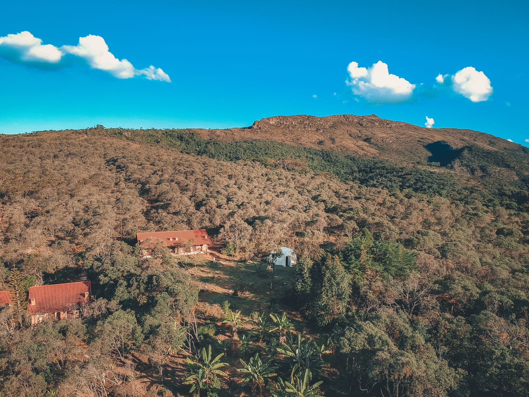 Madagascar Fossa Tour Packages 2026: Kirindy, Baobabs & Wildlife Trips — Madagascar