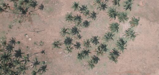 Group Tour vs Private Tour vs DIY in Madagascar 2026: Which Is Right for You? — Madagascar