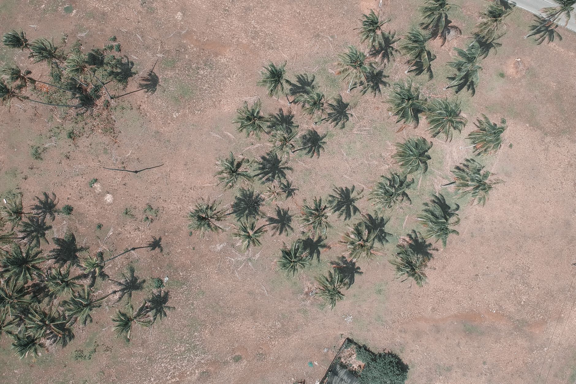 Group Tour vs Private Tour vs DIY in Madagascar 2026: Which Is Right for You? — Madagascar