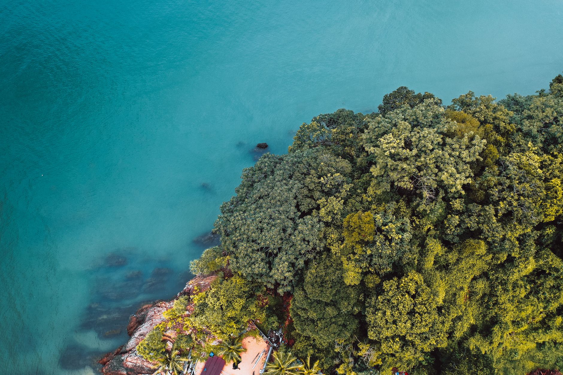Madagascar Lemur Tour Cost 2026: Budget for a Short Trip to a Full Lemur Safari — Madagascar
