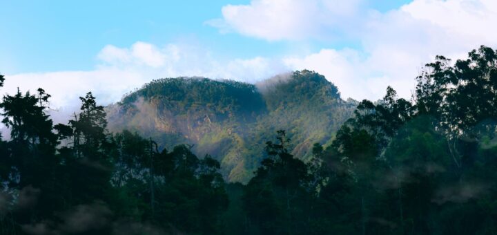 Madagascar Photography Tour Packages 2026: Wildlife, Landscape & Tailor-Made — Madagascar