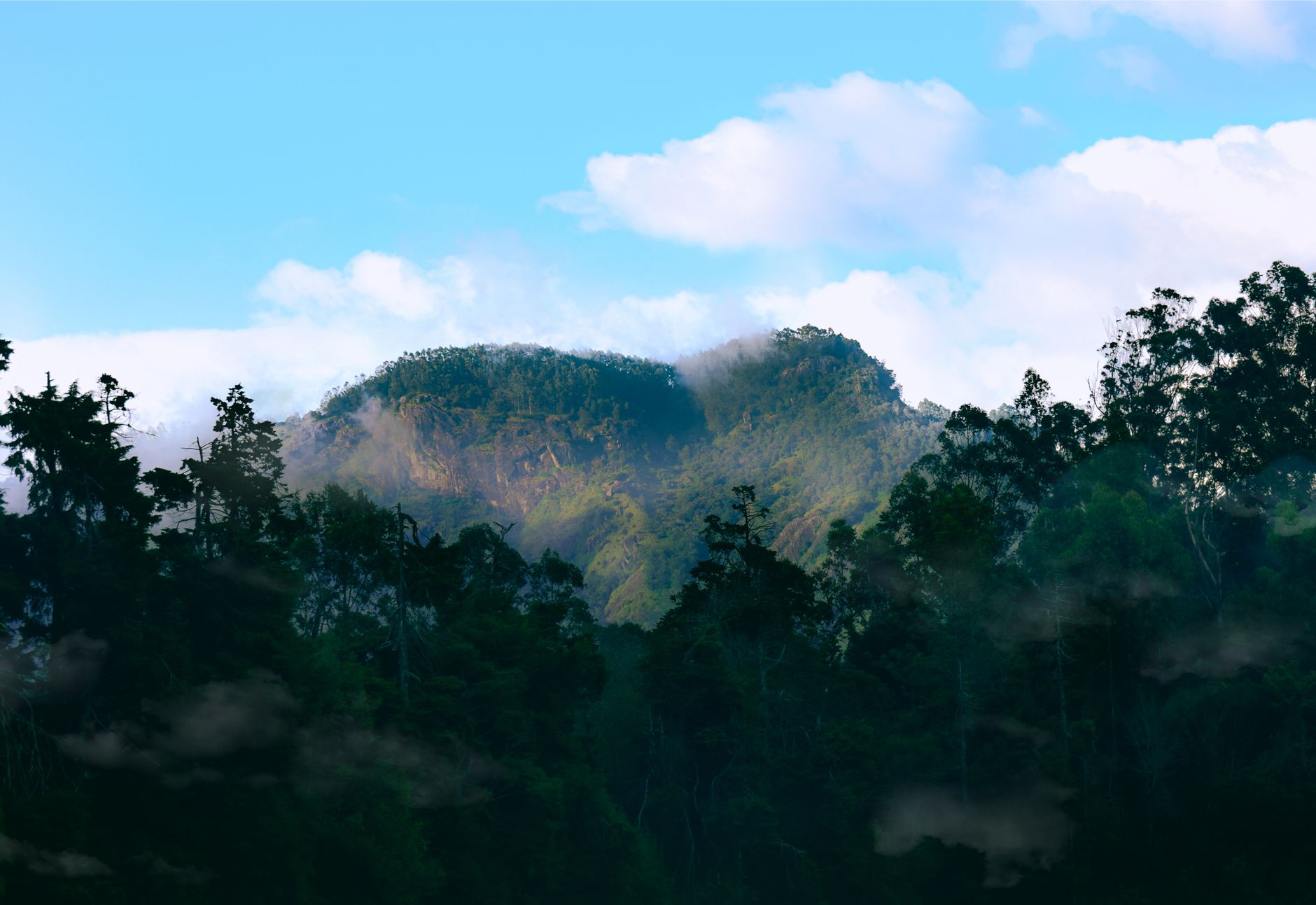 Madagascar Photography Tour Packages 2026: Wildlife, Landscape & Tailor-Made — Madagascar