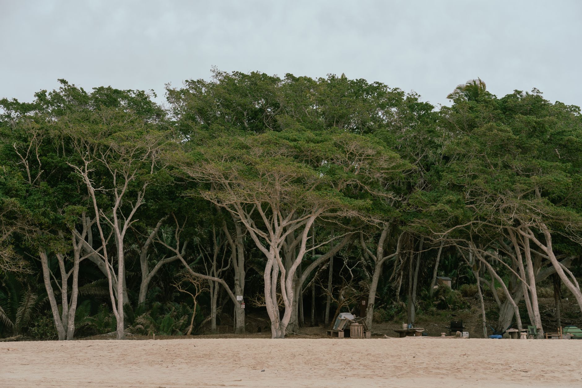 Madagascar Car & Driver Hire 2026: Why a Private Driver-Guide Is the Best Way to Get Around — Madagascar
