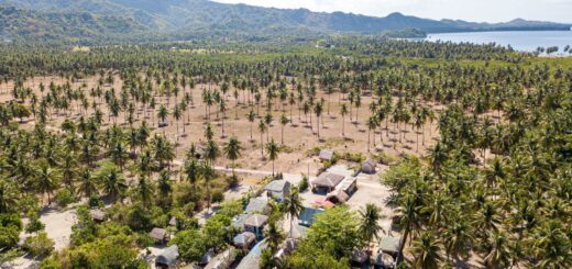 Madagascar Private Island Trip Cost 2026: Real Budget Breakdown for Ultra-Luxe Travel — Madagascar