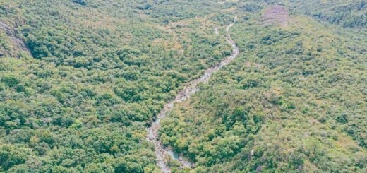 Madagascar Safari Cost 2026: What a Wildlife Trip Really Costs — Madagascar