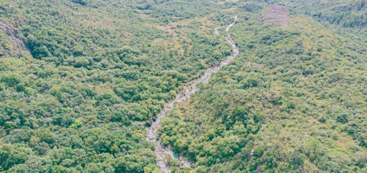 Madagascar Safari Cost 2026: What a Wildlife Trip Really Costs — Madagascar