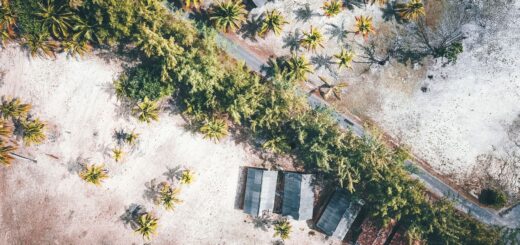 Madagascar Safari Cost Breakdown 2026: Real Prices by Tier and Duration — Madagascar