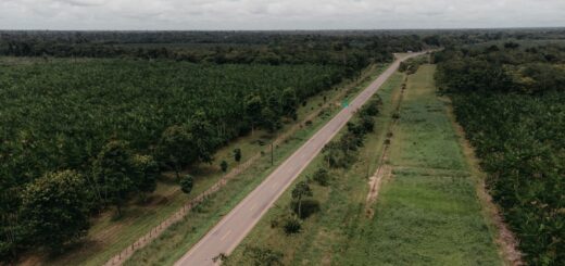 Madagascar Safari vs an African Safari: What's Really Different? (2026) — Madagascar