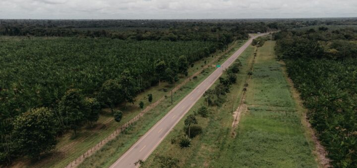 Madagascar Safari vs an African Safari: What's Really Different? (2026) — Madagascar