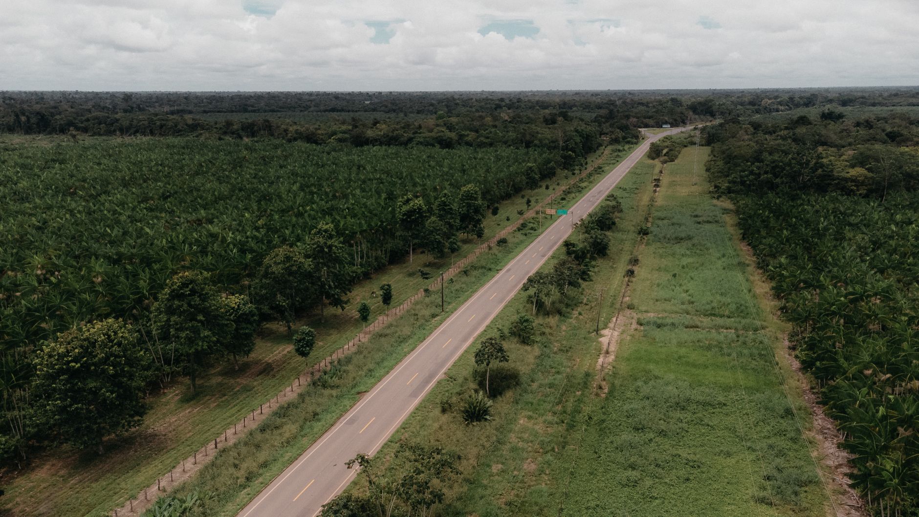 Madagascar Safari vs an African Safari: What's Really Different? (2026) — Madagascar
