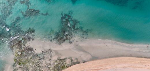 Madagascar Sea Turtle Tour Cost 2026: What Snorkelling with Turtles Really Costs — Madagascar
