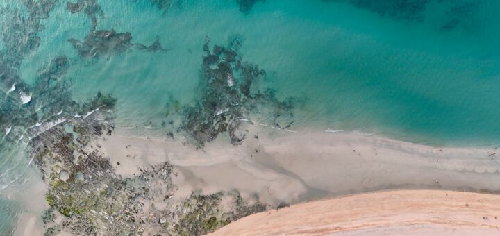 Madagascar Sea Turtle Tour Cost 2026: What Snorkelling with Turtles Really Costs — Madagascar