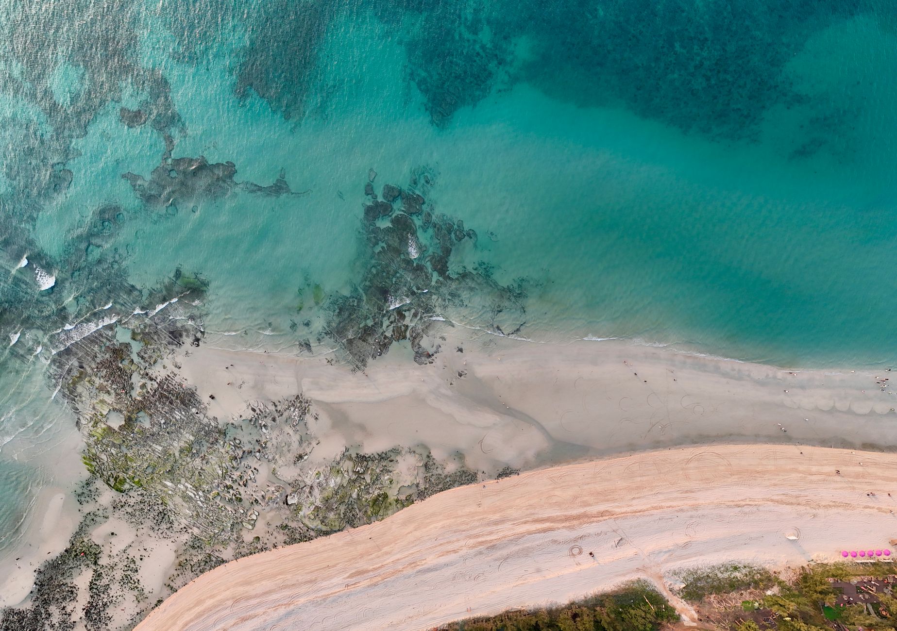 Madagascar Sea Turtle Tour Cost 2026: What Snorkelling with Turtles Really Costs — Madagascar