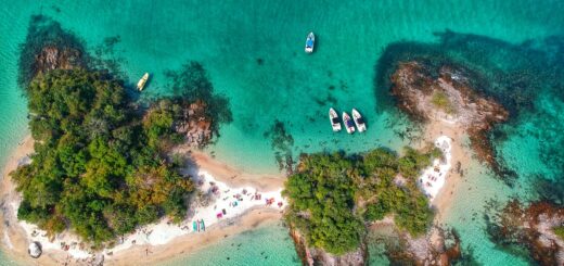 Madagascar Sea Turtle Tour Packages 2026: Nosy Be Snorkelling Trips — Madagascar