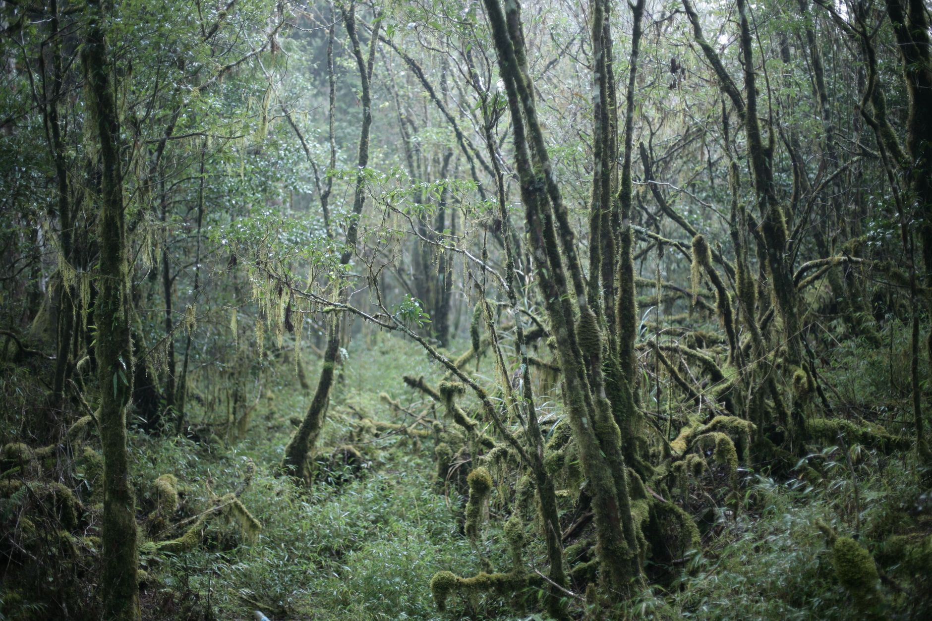 Madagascar Tortoise Tour Cost 2026: What a Southern Wildlife Trip Really Costs — Madagascar