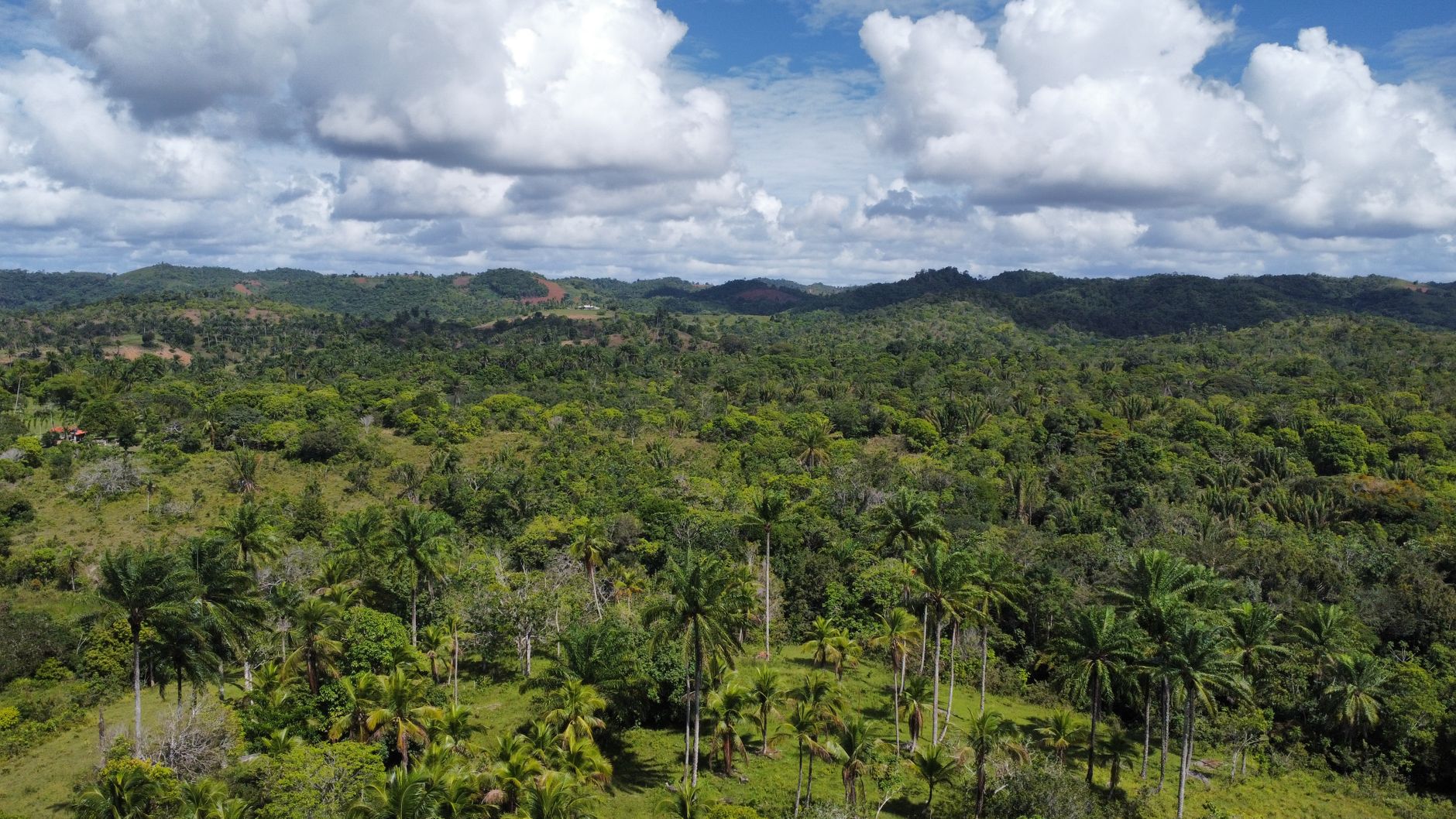 Madagascar Tortoise Tour Packages 2026: Southern Spiny-Forest Wildlife Trips — Madagascar