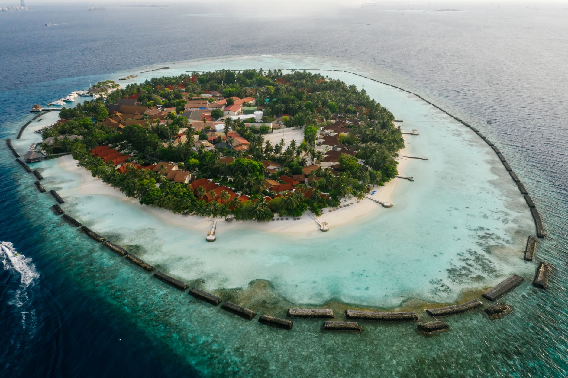 Madagascar vs Maldives vs Bali Honeymoon 2026: Which Is Right for You? — Madagascar