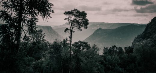 Madagascar vs Nepal vs Peru for Adventure Travel 2026: Which Is Best? — Madagascar