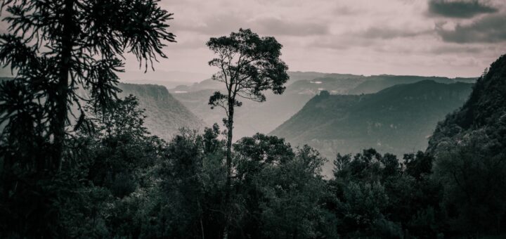 Madagascar vs Nepal vs Peru for Adventure Travel 2026: Which Is Best? — Madagascar