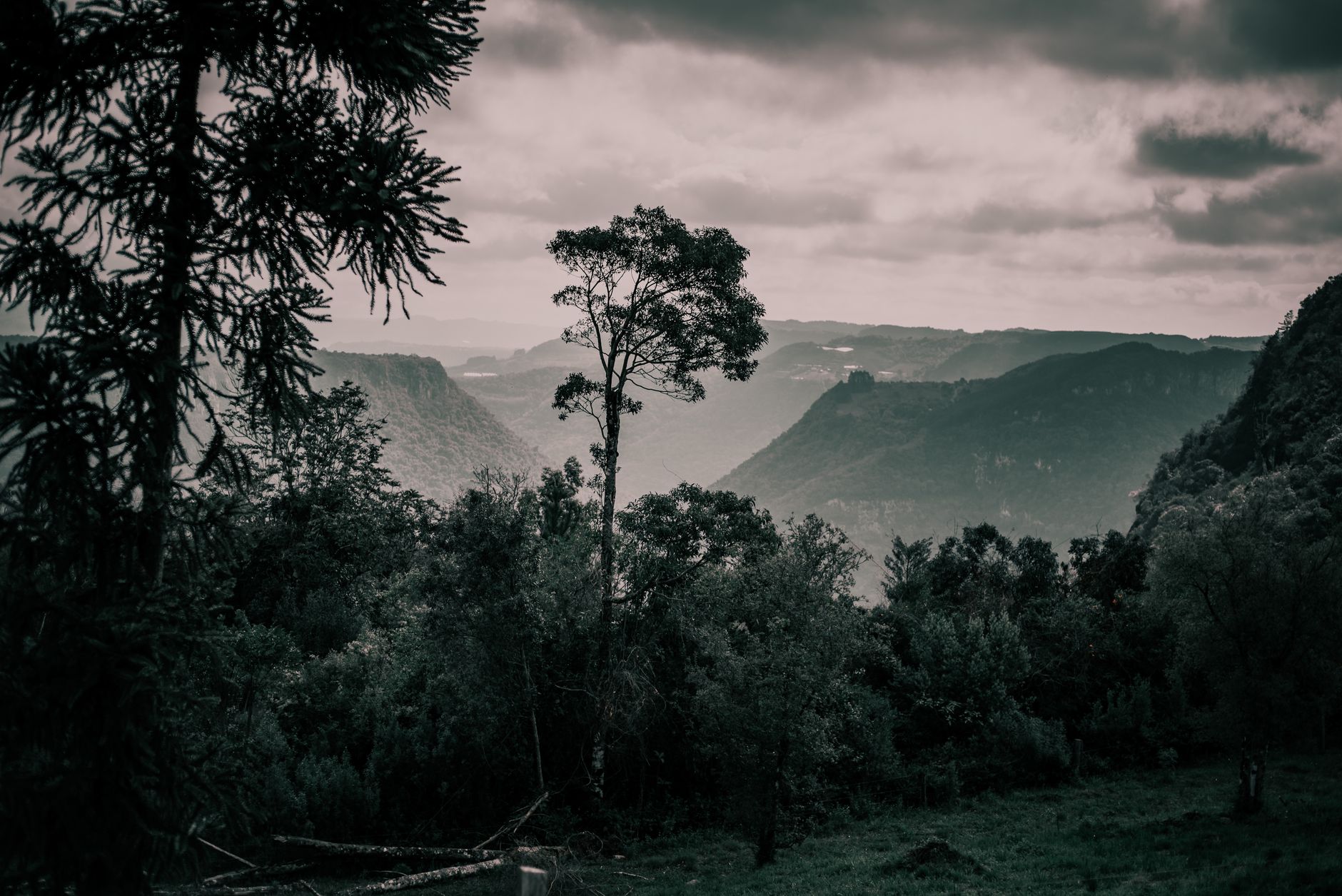 Madagascar vs Nepal vs Peru for Adventure Travel 2026: Which Is Best? — Madagascar