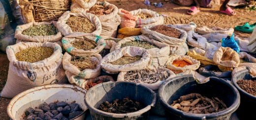 Madagascar vs Sri Lanka vs Zanzibar Culinary Travel 2026: Vanilla, Curry, Spice Origins Compared — Madagascar
