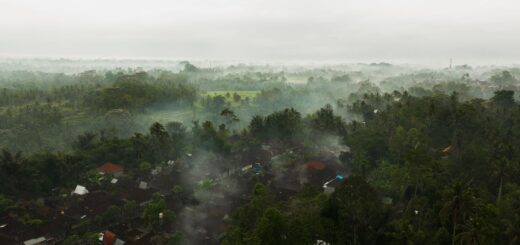 Madagascar vs Tanzania vs Galápagos Wildlife 2026: Honest Comparison — Madagascar