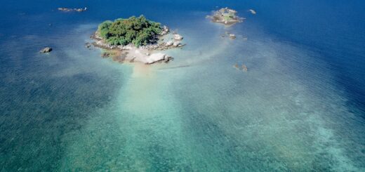 Madagascar Whale Shark Tour Packages 2026: Types, What's Included & How to Choose — Madagascar