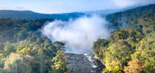 Madagascar Wildlife Tours 2026: What You'll See and How They Work — Madagascar