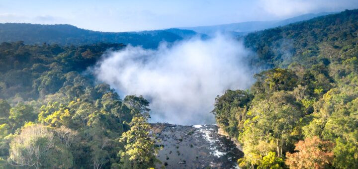 Madagascar Wildlife Tours 2026: What You'll See and How They Work — Madagascar