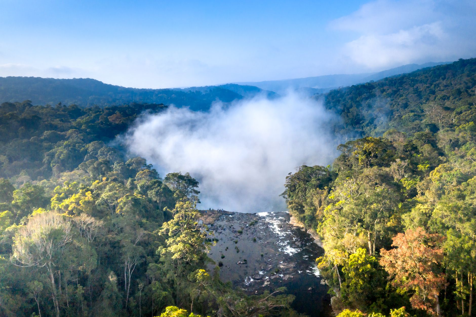 Madagascar Wildlife Tours 2026: What You'll See and How They Work — Madagascar