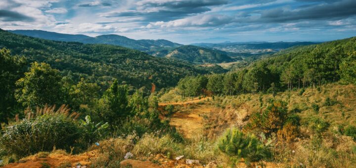 Madagascar Wine vs the World: How It Compares to France, Italy & Argentina (2026) — Madagascar