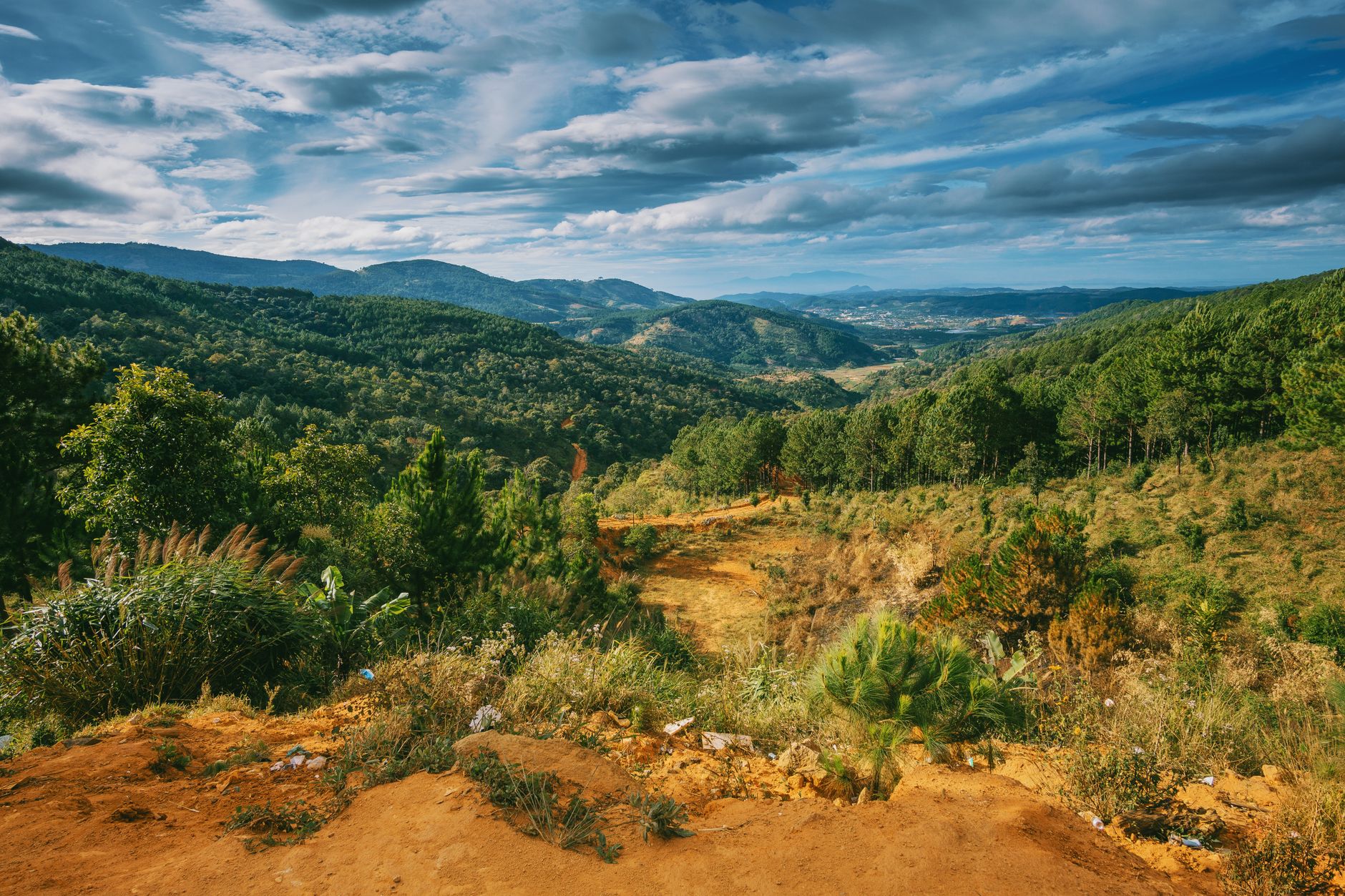 Madagascar Wine vs the World: How It Compares to France, Italy & Argentina (2026) — Madagascar