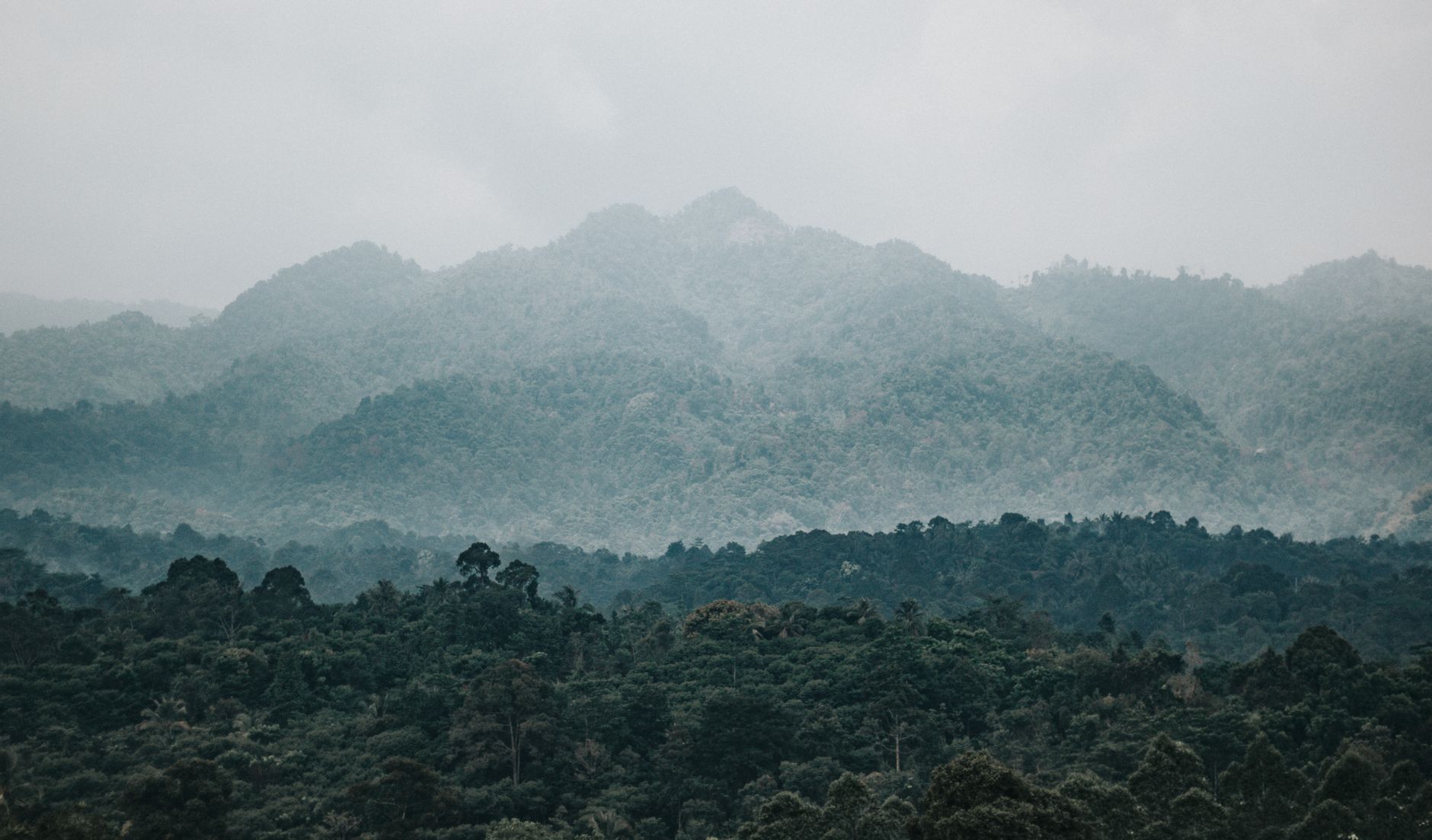 Marojejy Trip Cost 2026: Park Fees, Guides, Porters & Full Budget Breakdown — Madagascar