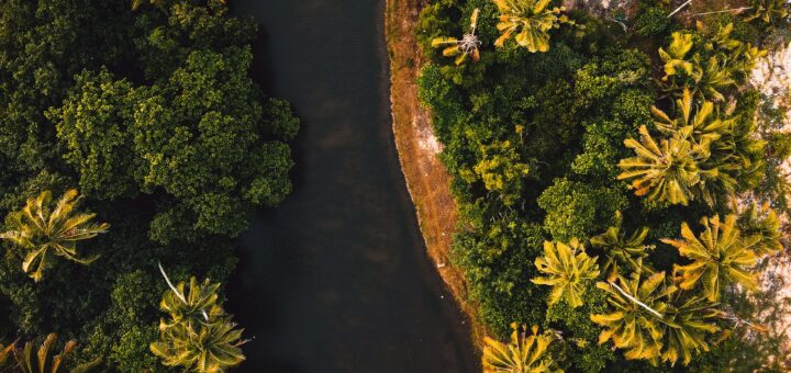 Masoala Tours & Packages 2026: Rainforest, Marine & Whale Trips, How to Book — Madagascar