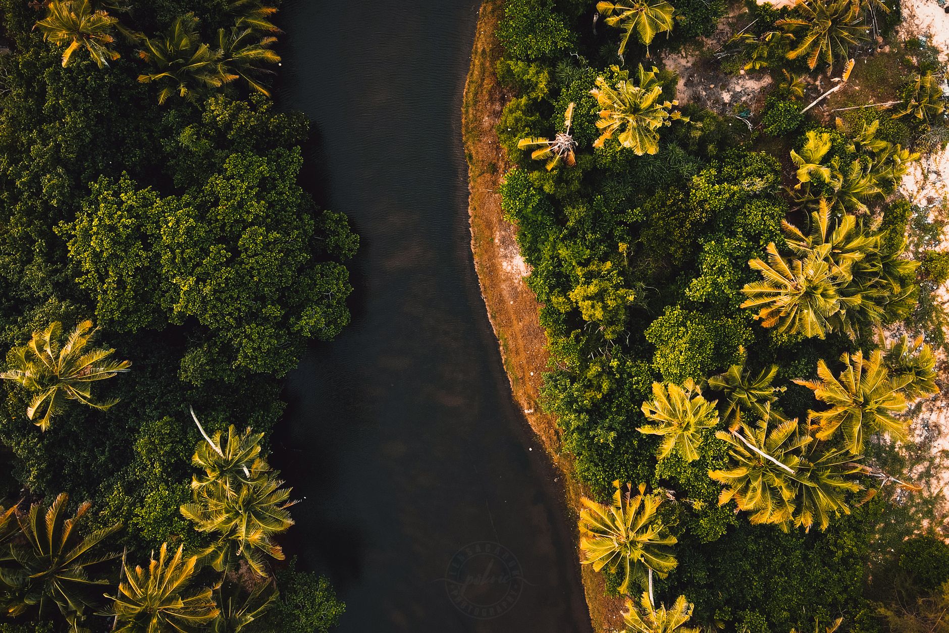 Masoala Tours & Packages 2026: Rainforest, Marine & Whale Trips, How to Book — Madagascar